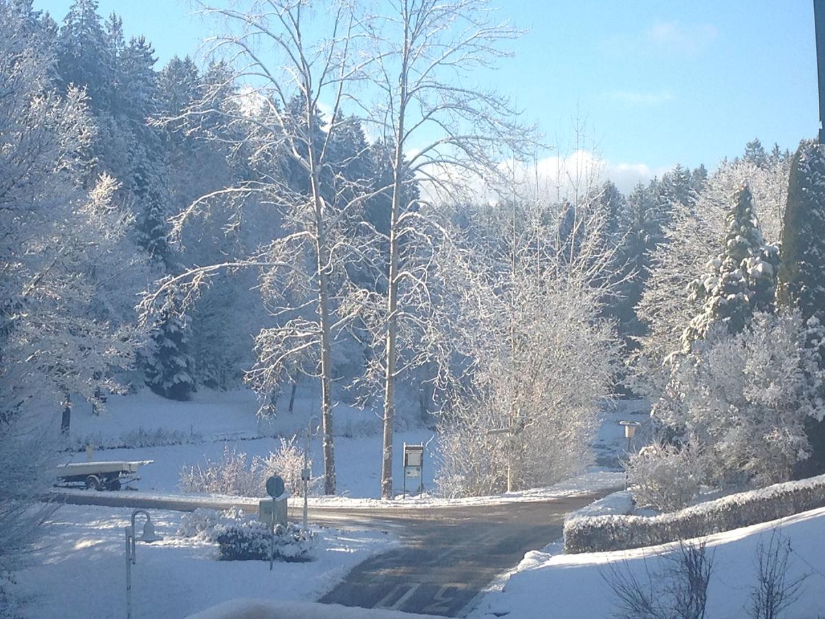 Hotel Waldsee والداختال المظهر الخارجي الصورة
