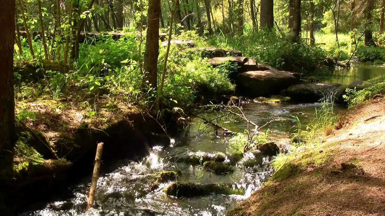 Hotel Waldsee والداختال المظهر الخارجي الصورة